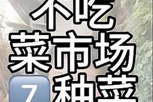 拜仁vs霍芬海姆首发：诺伊尔500场里程碑，凯恩、穆勒先发